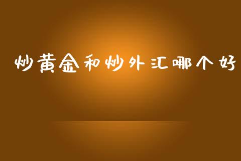 炒黄金和炒外汇哪个好_https://m.fsyjjx.cn_期货保证金_第1张