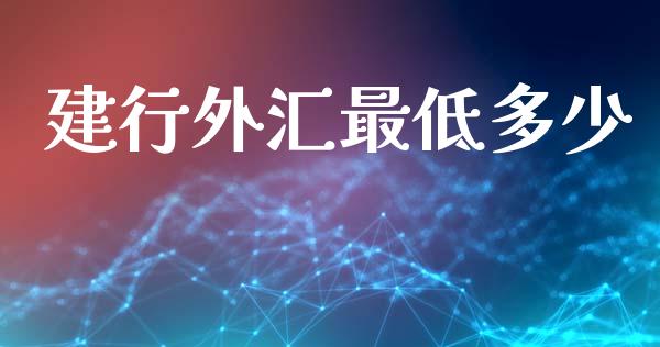 建行外汇最低多少_https://m.fsyjjx.cn_期货保证金计算_第1张