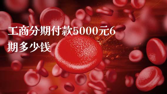 工商分期付款5000元6期多少钱_https://m.fsyjjx.cn_期货保证金_第1张