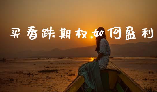 买看跌期权如何盈利_https://m.fsyjjx.cn_股指期货保证金_第1张
