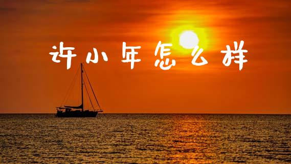 许小年怎么样_https://m.fsyjjx.cn_期货如何开户_第1张