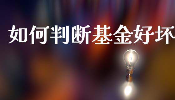 如何判断基金好坏_https://m.fsyjjx.cn_期货保证金_第1张