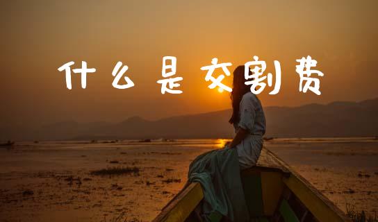 什么是交割费_https://m.fsyjjx.cn_期货如何开户_第1张