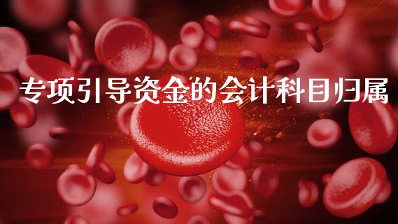 专项引导资金的会计科目归属_https://m.fsyjjx.cn_期货保证金计算_第1张