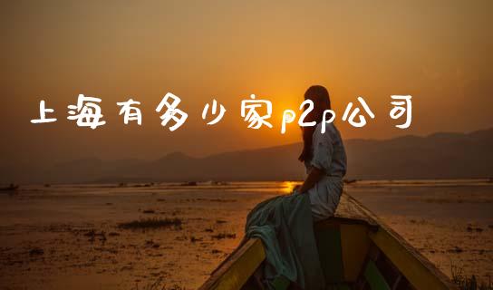 上海有多少家p2p公司_https://m.fsyjjx.cn_期货如何开户_第1张