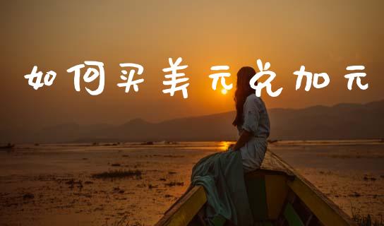 如何买美元兑加元_https://m.fsyjjx.cn_期货保证金计算_第1张