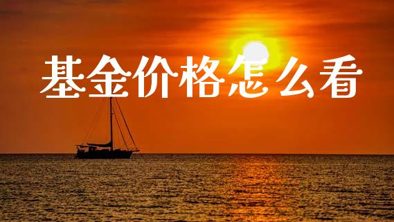 基金价格怎么看_https://m.fsyjjx.cn_期货保证金计算_第1张
