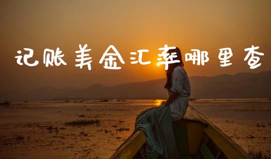 记账美金汇率哪里查_https://m.fsyjjx.cn_期货保证金计算_第1张