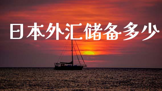 日本外汇储备多少_https://m.fsyjjx.cn_股指期货保证金_第1张