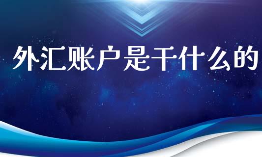 外汇账户是干什么的_https://m.fsyjjx.cn_期货保证金计算_第1张