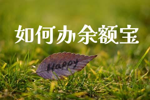 如何办余额宝_https://m.fsyjjx.cn_期货保证金计算_第1张
