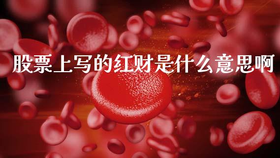股票上写的红财是什么意思啊_https://m.fsyjjx.cn_期货保证金计算_第1张