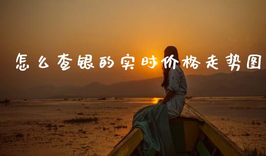 怎么查银的实时价格走势图_https://m.fsyjjx.cn_期货保证金_第1张