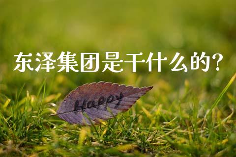 东泽集团是干什么的?_https://m.fsyjjx.cn_期货如何开户_第1张