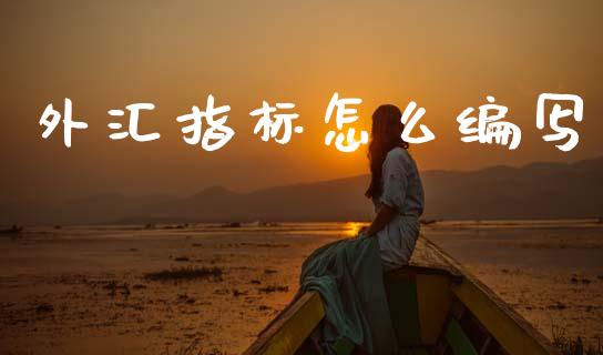 外汇指标怎么编写_https://m.fsyjjx.cn_股指期货保证金_第1张