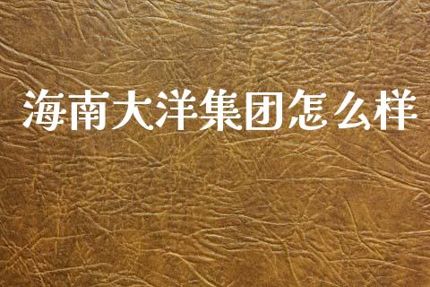 海南大洋集团怎么样_https://m.fsyjjx.cn_期货如何开户_第1张