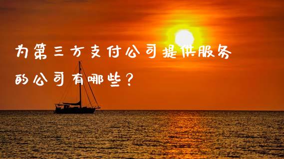 为第三方支付公司提供服务的公司有哪些？_https://m.fsyjjx.cn_期货保证金_第1张