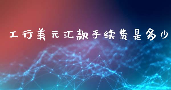工行美元汇款手续费是多少_https://m.fsyjjx.cn_期货保证金_第1张