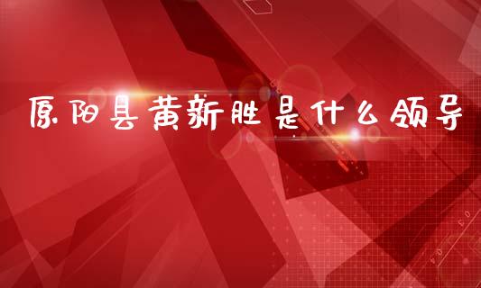 原阳县黄新胜是什么领导_https://m.fsyjjx.cn_期货保证金_第1张