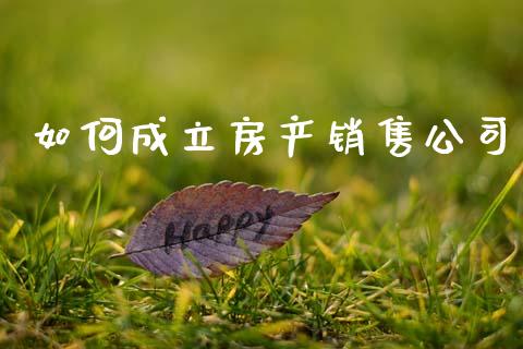 如何成立房产销售公司_https://m.fsyjjx.cn_期货保证金_第1张
