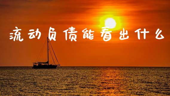 流动负债能看出什么_https://m.fsyjjx.cn_期货如何开户_第1张