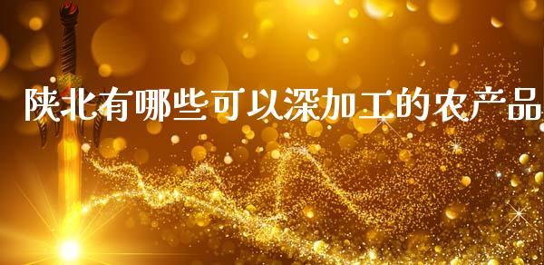 陕北有哪些可以深加工的农产品_https://m.fsyjjx.cn_股指期货保证金_第1张