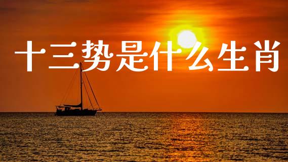 十三势是什么生肖_https://m.fsyjjx.cn_期货如何开户_第1张