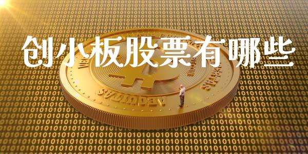 创小板股票有哪些_https://m.fsyjjx.cn_股指期货保证金_第1张