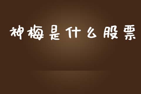 神梅是什么股票_https://m.fsyjjx.cn_期货保证金_第1张