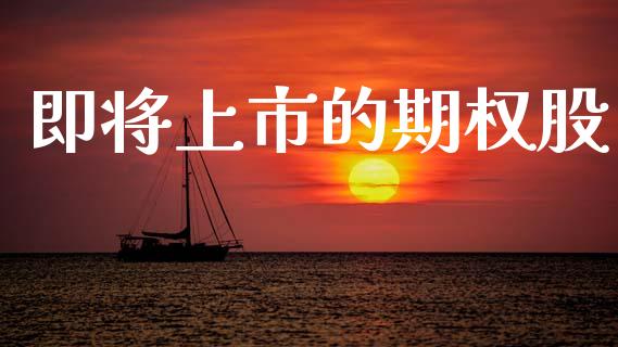即将上市的期权股_https://m.fsyjjx.cn_期货保证金计算_第1张