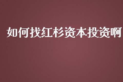 如何找红杉资本投资啊_https://m.fsyjjx.cn_期货保证金_第1张