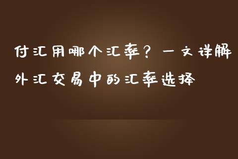 付汇用哪个汇率？一文详解外汇交易中的汇率选择_https://m.fsyjjx.cn_期货如何开户_第1张