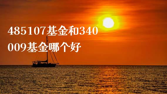 485107基金和340009基金哪个好_https://m.fsyjjx.cn_期货保证金计算_第1张