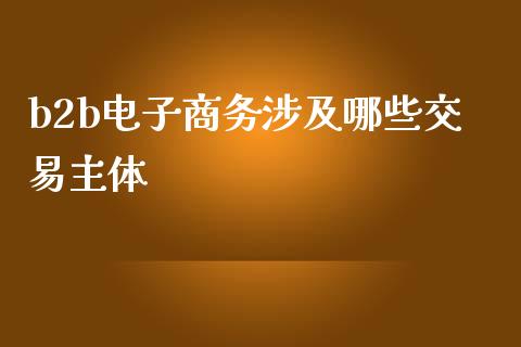 b2b电子商务涉及哪些交易主体_https://m.fsyjjx.cn_期货保证金_第1张