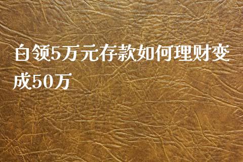 白领5万元存款如何理财变成50万_https://m.fsyjjx.cn_期货保证金计算_第1张