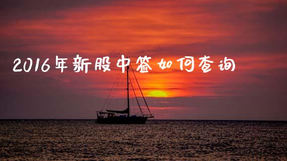 2016年新股中签如何查询_https://m.fsyjjx.cn_股指期货保证金_第1张