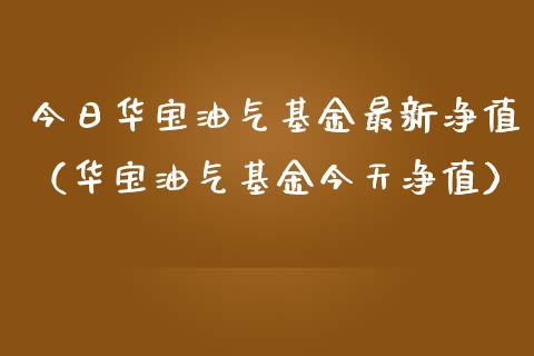 今日华宝油气基金最新净值（华宝油气基金今天净值）_https://m.fsyjjx.cn_期货保证金计算_第1张
