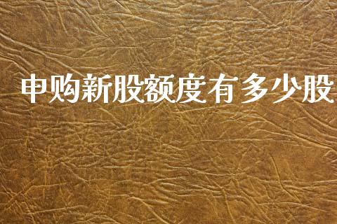 申购新股额度有多少股_https://m.fsyjjx.cn_期货如何开户_第1张