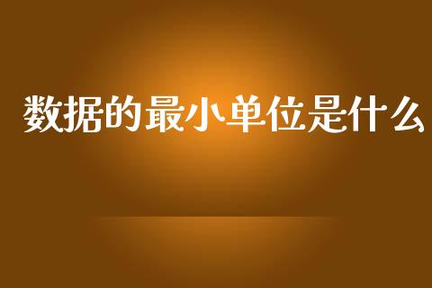 数据的最小单位是什么_https://m.fsyjjx.cn_股指期货保证金_第1张