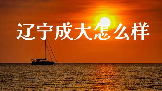 辽宁成大怎么样_https://m.fsyjjx.cn_期货保证金_第1张