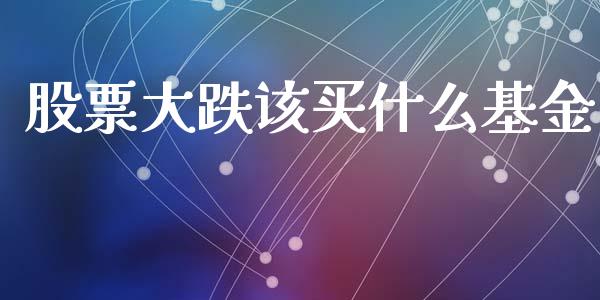 股票大跌该买什么基金_https://m.fsyjjx.cn_期货保证金_第1张