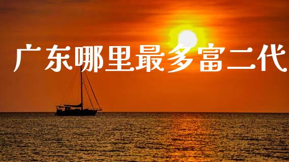 广东哪里最多富二代_https://m.fsyjjx.cn_期货保证金计算_第1张