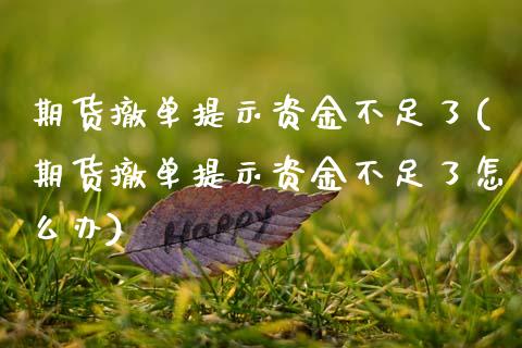 期货撤单提示资金不足了(期货撤单提示资金不足了怎么办)_https://m.fsyjjx.cn_期货保证金_第1张