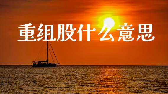 重组股什么意思_https://m.fsyjjx.cn_期货保证金_第1张