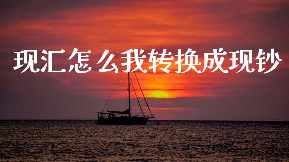 现汇怎么我转换成现钞_https://m.fsyjjx.cn_期货如何开户_第1张