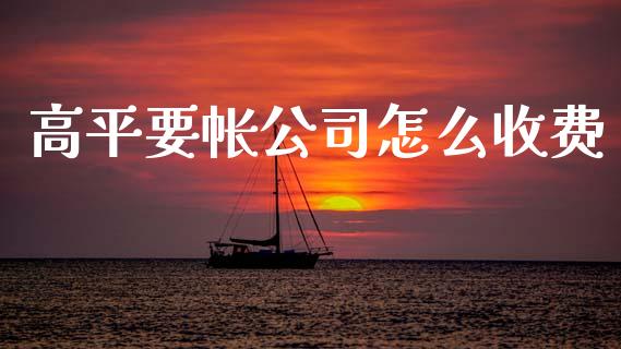高平要帐公司怎么收费_https://m.fsyjjx.cn_期货保证金计算_第1张
