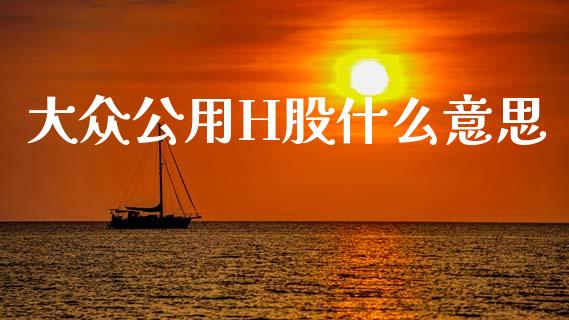 大众公用H股什么意思_https://m.fsyjjx.cn_期货如何开户_第1张