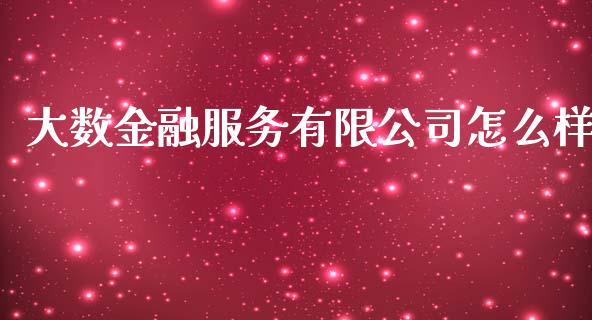 大数金融服务有限公司怎么样_https://m.fsyjjx.cn_期货保证金_第1张