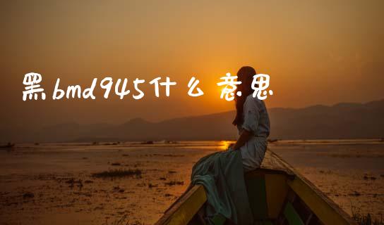 黑bmd945什么意思_https://m.fsyjjx.cn_期货保证金_第1张