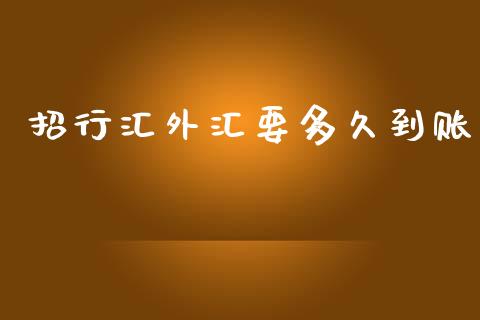 招行汇外汇要多久到账_https://m.fsyjjx.cn_期货如何开户_第1张